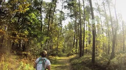 Malinowa pułapka, znikające ścieżki i kąpiel w kanałku. "Spodziewam się ciebie po max 3h"