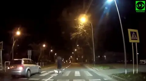 Do zdarzenia doszło w sobotę w Zielonej Górze