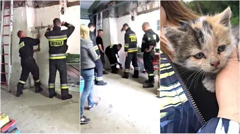 Szczecin. Kotek utknął w kominie. Uratowali go strażacy