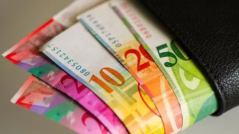Pożyczki we frankach szwajcarskich stanowią tylko część udzielonych w Polsce kredytów mieszkaniowych