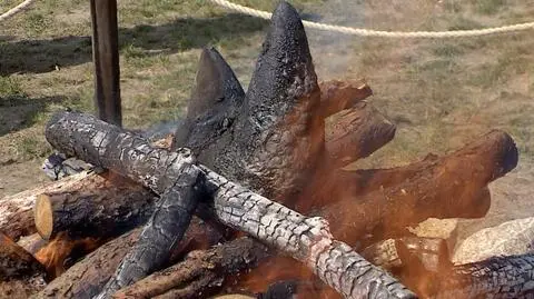 Poznań: W zoo spalili róg nosorożca