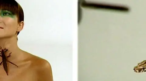 Węże i pająki, czyli egzotyczne przejścia w "Top Model"