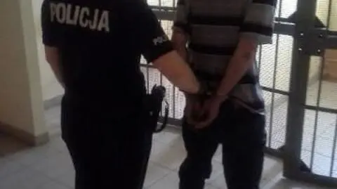 Gdańsk: Wrzucił kota z szóstego piętra. Grożą mu dwa lata więzienia