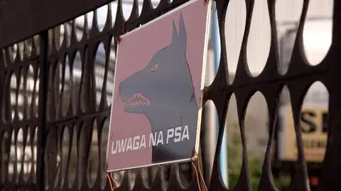 Jelenia Góra. Zakrwawiony mężczyzna, obok cztery psy. 64-latek nie przeżył