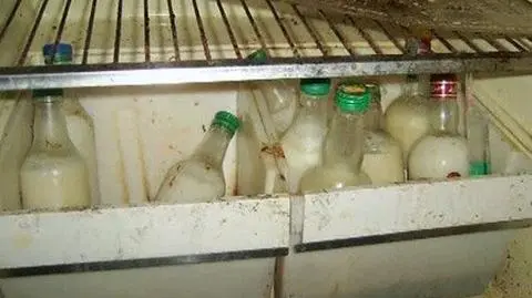 Oskarżone o wyrabianie psiego smalcu znów staną przed sądem
