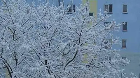 Śnieg sparaliżował północną Polskę