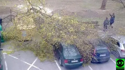 Wichura nad Polską. Ponad tysiąc interwencji strażaków