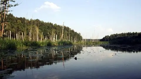 Polka ma "Ekologicznego Nobla" i 150 tys. dolarów
