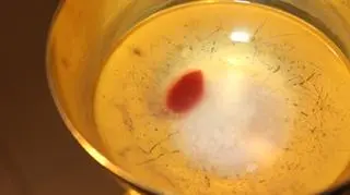 W Legnicy pokażą wiernym cudowną hostię