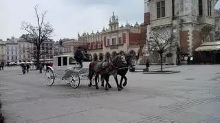 Kraków wyemituje 200 tys. obligacji
