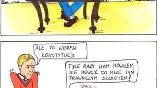 Komiks przygotowany przez PSL