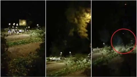 Spadające drzewo przygniotło strażaka podczas akcji