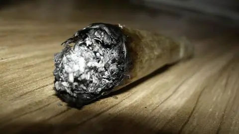 dcefd644c2e08ce7b512a5181e1e76c5