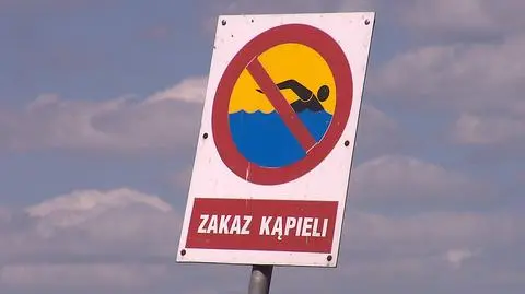 Zakaz kąpieli na Jeziorze Necko z powodu sinic