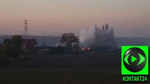 Dogaszają stadninę w Zabrzu