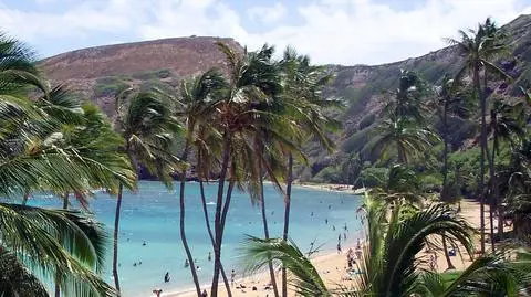 Hawaje się zatrzęsły