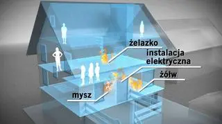 W pożarze zginęło 5 osób