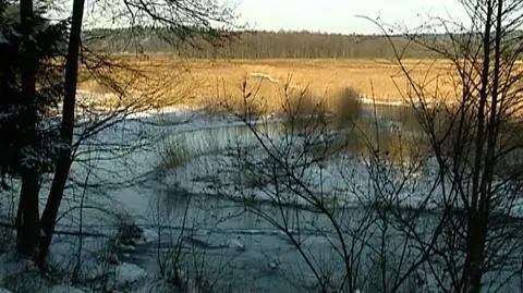 Wraca dyskusja o Rospudzie