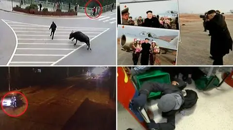 Plebiscyt na wideo tygodnia w tvn24.pl