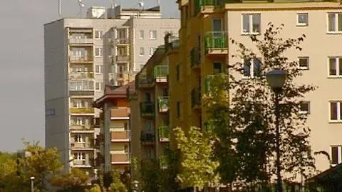 Przegląd prasy: Dobry meldunek tanio kupię