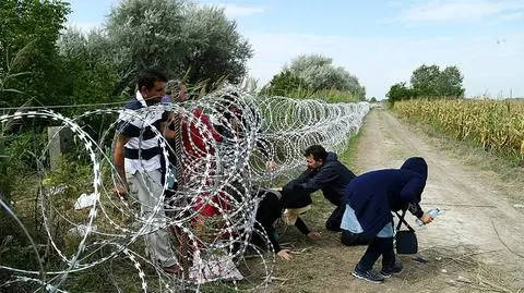 Słowacja. Pogranicznicy postrzelili młodą Syryjkę