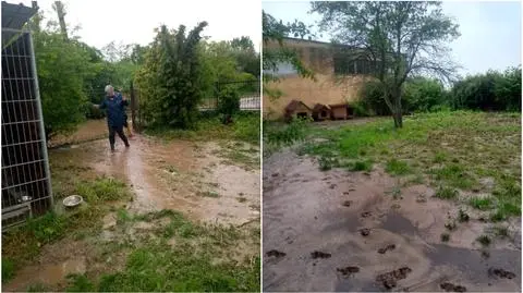 Opolszczyzna. Przytulisko dla zwierząt zalane po ulewach