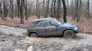 Kierowca tego auta zostanie ukarany mandatem