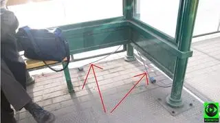 Kabel zwisający z wiaty przystanku w Poznaniu