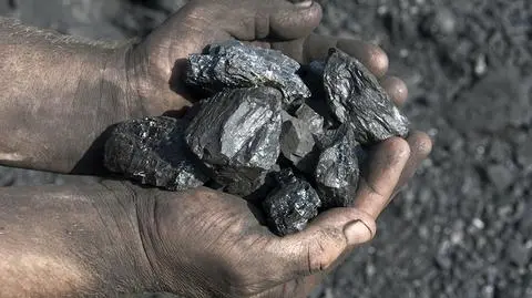 Mirosław Proppé i Janusz Piechociński w "Faktach po Faktach" o COP24