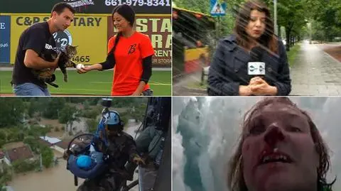 Bohaterska kotka wciąż bezkonkurencyjna. Wybraliście wideo tygodnia