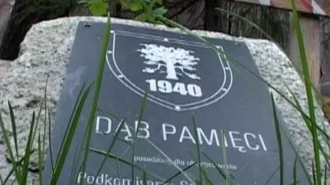 Zniszczył tablice smoleńskie. Wpadł