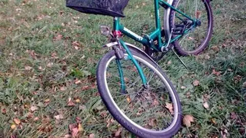 Wjechała pod BMW, bo pies wyskoczył z koszyka