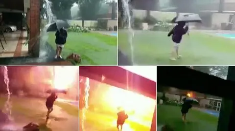 Wybierz najciekawsze wideo tygodnia w tvn24.pl