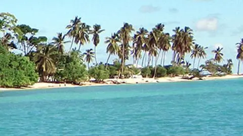 Haiti w gruzach. Polacy 
300 km dalej na wakacjach