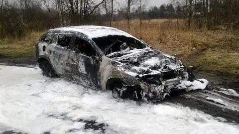 Chciał ominąć sarnę, uderzył w latarnię. Auto spłonęło
