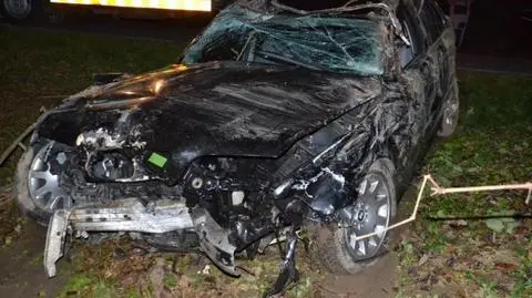 Janowice. Pijany kierowca skosił słup energetyczny i drzewa