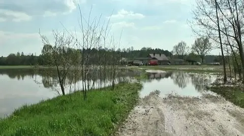 Wał przeciwpowodziowy nie wytrzymał. Zalało 15 hektarów