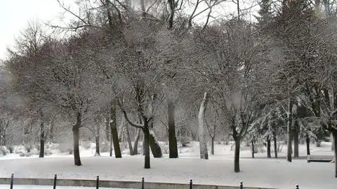 Śnieg spadł m.in. w Białymstoku