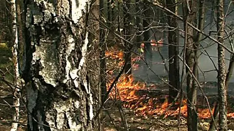 Cztery źródła ognia pod Częstochową