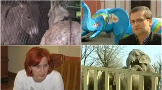 Do rady miasta dostali się Lidia Dudziak i Michał Grześ