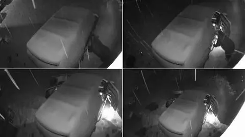 Najciekawsze wideo tygodnia w tvn24.pl: sprytny niedźwiedź włamywacz