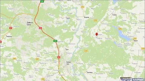 Trzy konie pod lodem. Trwa akcja ratunkowa