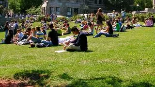 Erasmus daje studentom wiele możliwości
