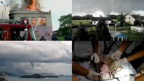 Najlepsze nagrania tygodnia w tvn24.pl