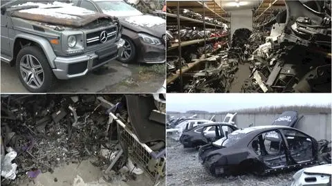 Polish and German police officers have broken up an international gang of car thieves