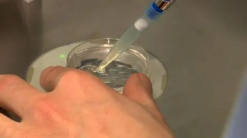 Jak przechowuje się zarodki?