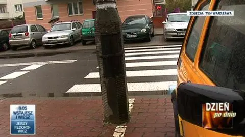 Zebry wyrastają nocą