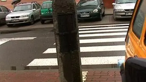 Zebry wyrastają nocą
