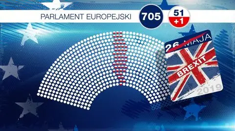 Wybieramy eurodeputowanych. Jeden poczeka na liście rezerwowej