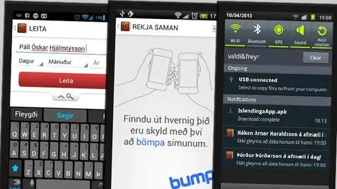 Islandczycy sprawdzą, czy sypiają z krewnym. Jest specjalna aplikacja